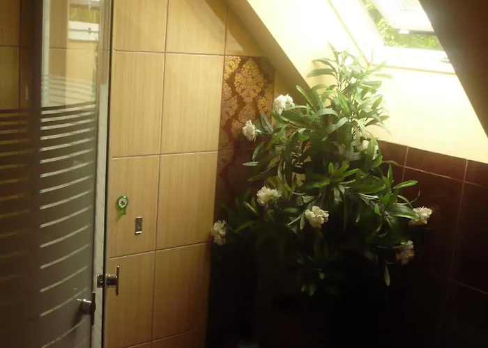 Wynajem Pokoi Pod Lasem Homestay